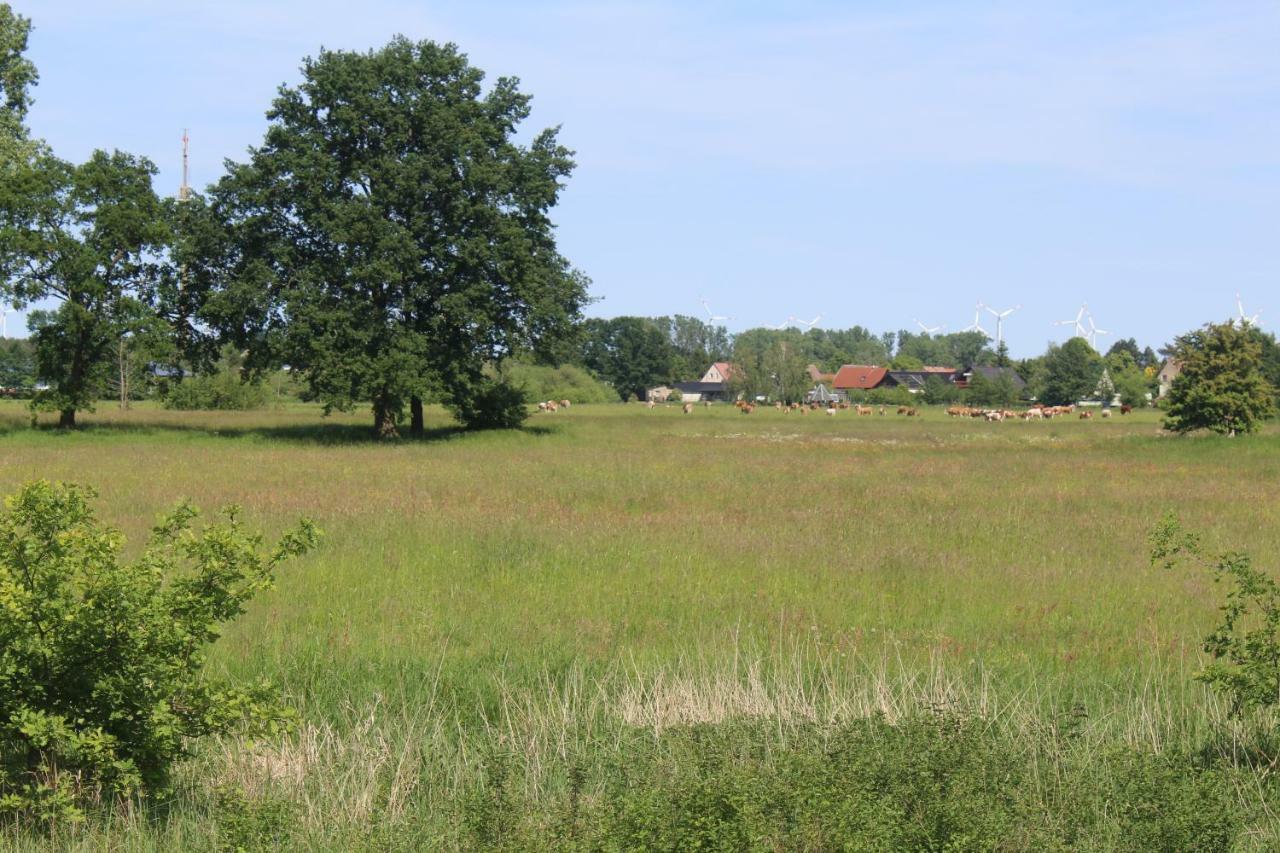 Spreewald Ferienwohnung Luebben Buitenkant foto